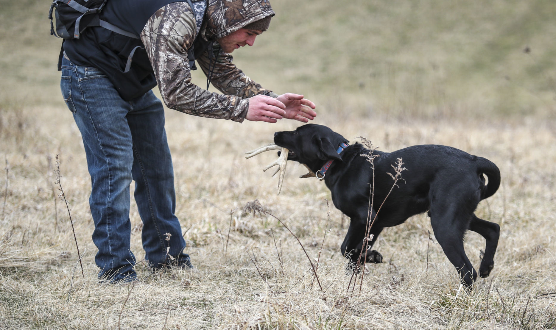 Shed hunting 14